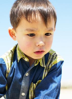 商品展開が豊富な知育玩具の見つけ方